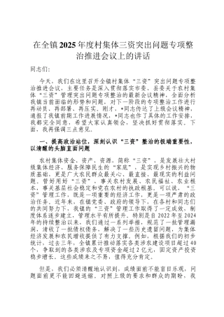 在全镇2025年度村集体三资突出问题专项整治推进会议上的讲话