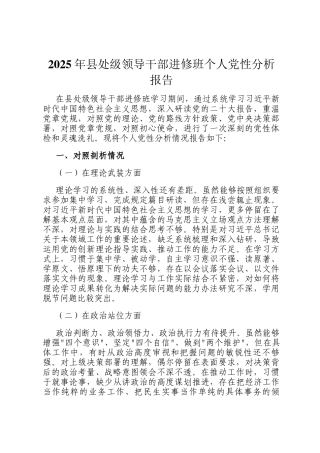 2025年县处级领导干部进修班个人党性分析报告