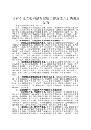 国有企业党委书记在巡察工作反馈会上的表态发言