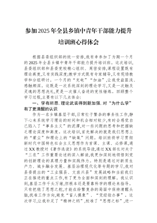 参加2025年全县乡镇中青年干部能力提升培训班心得体会