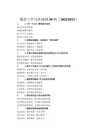 城管工作写作提纲30例（20251013）