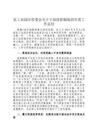 县工业园区管委会关于干部挂职锻炼的年度工作总结