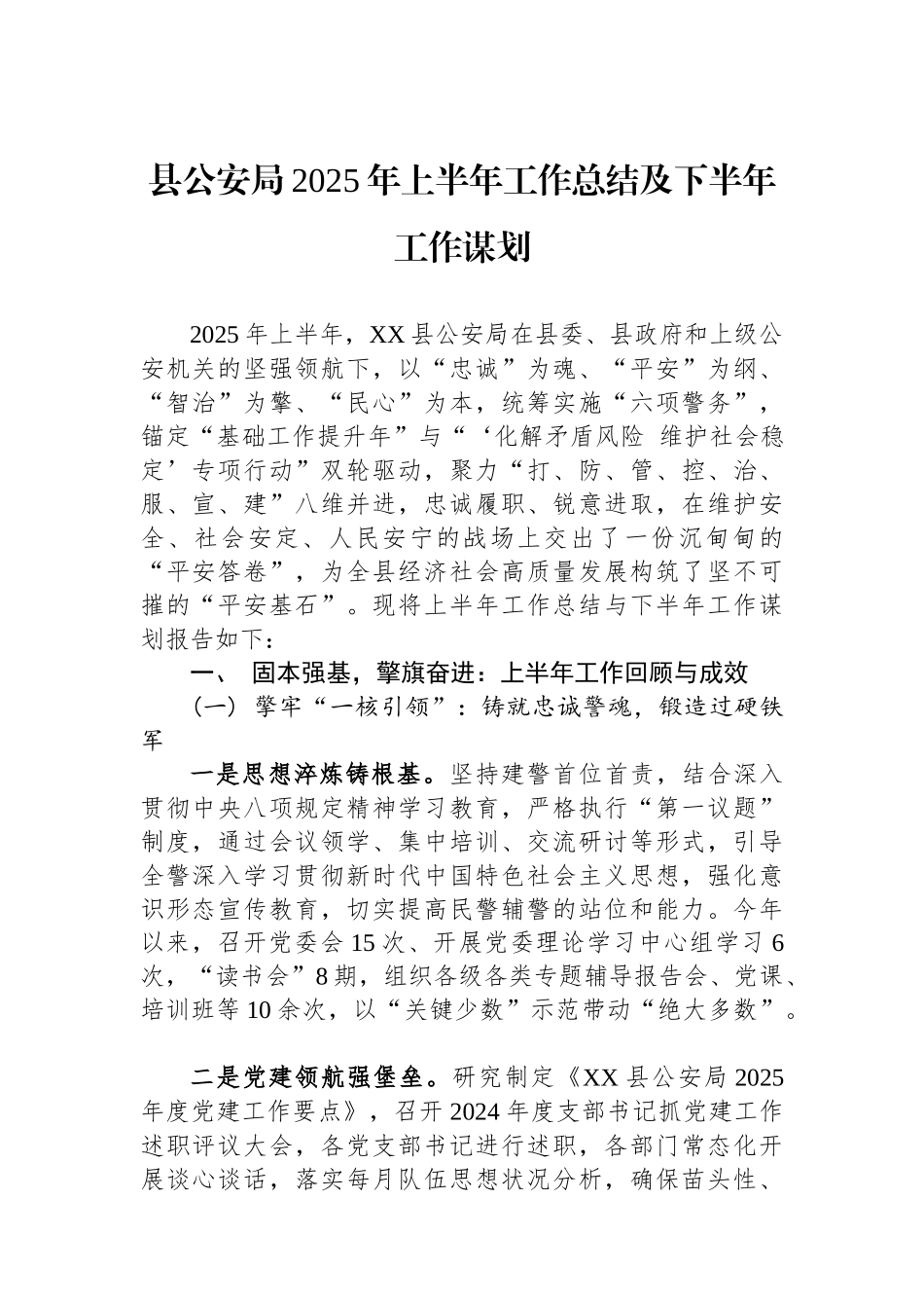 县公安局2025年上半年工作总结及下半年工作谋划_第1页