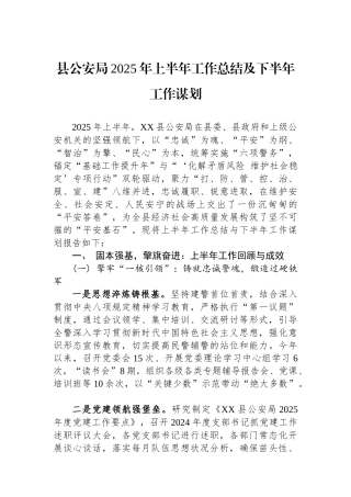 县公安局2025年上半年工作总结及下半年工作谋划