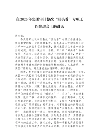 在2025年集团审计整改“回头看”专项工作推进会上的讲话
