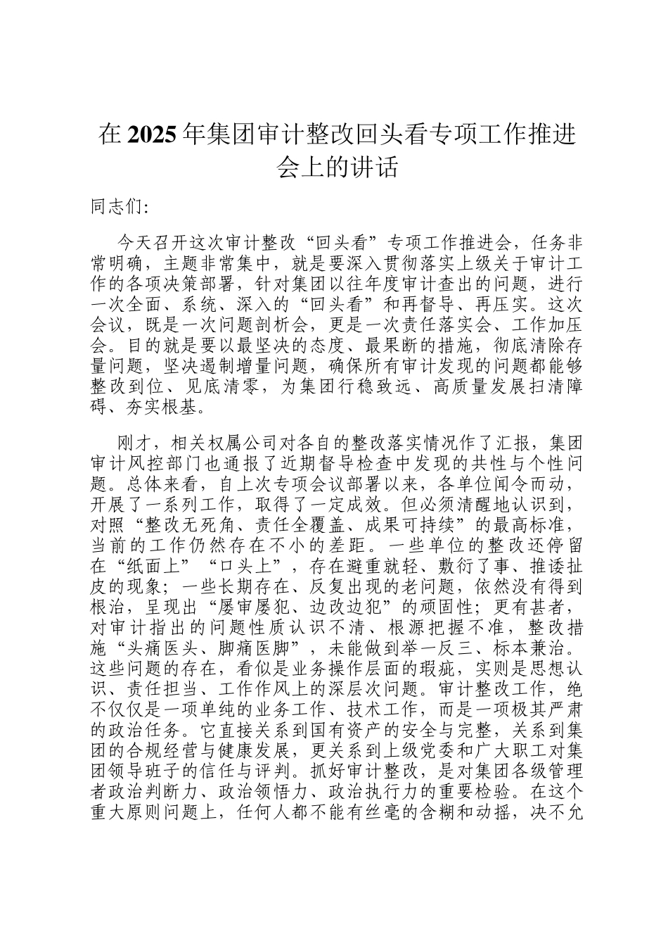 在2025年集团审计整改回头看专项工作推进会上的讲话_第1页