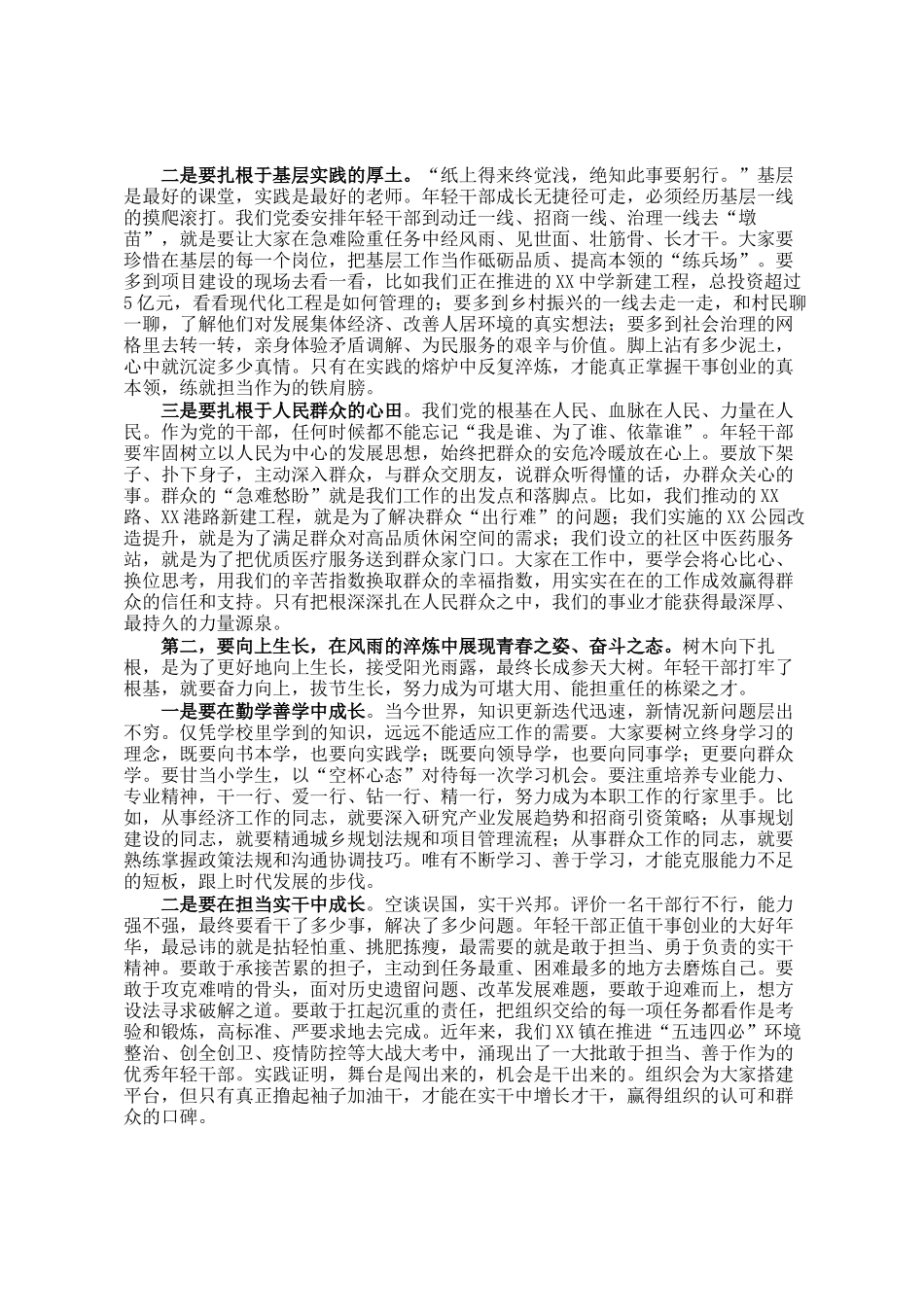 在2025年某镇年轻干部座谈会上的讲话_第2页