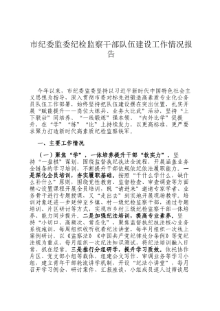 市纪委监委纪检监察干部队伍建设工作情况报告