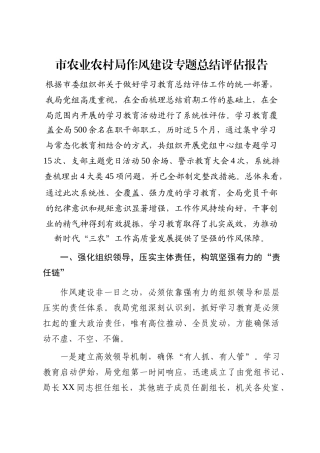 市农业农村局作风建设专题总结评估报告
