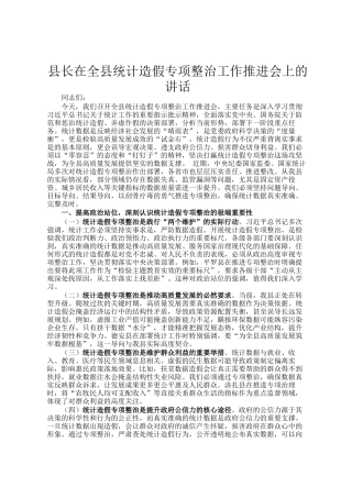 县长在全县统计造假专项整治工作推进会上的讲话