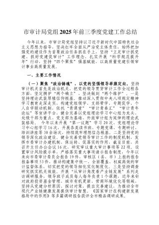 市审计局党组2025年前三季度党建工作总结