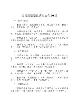 巡视巡察整改落实金句30组
