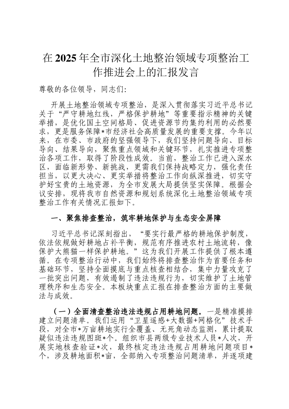 在2025年全市深化土地整治领域专项整治工作推进会上的汇报发言_第1页