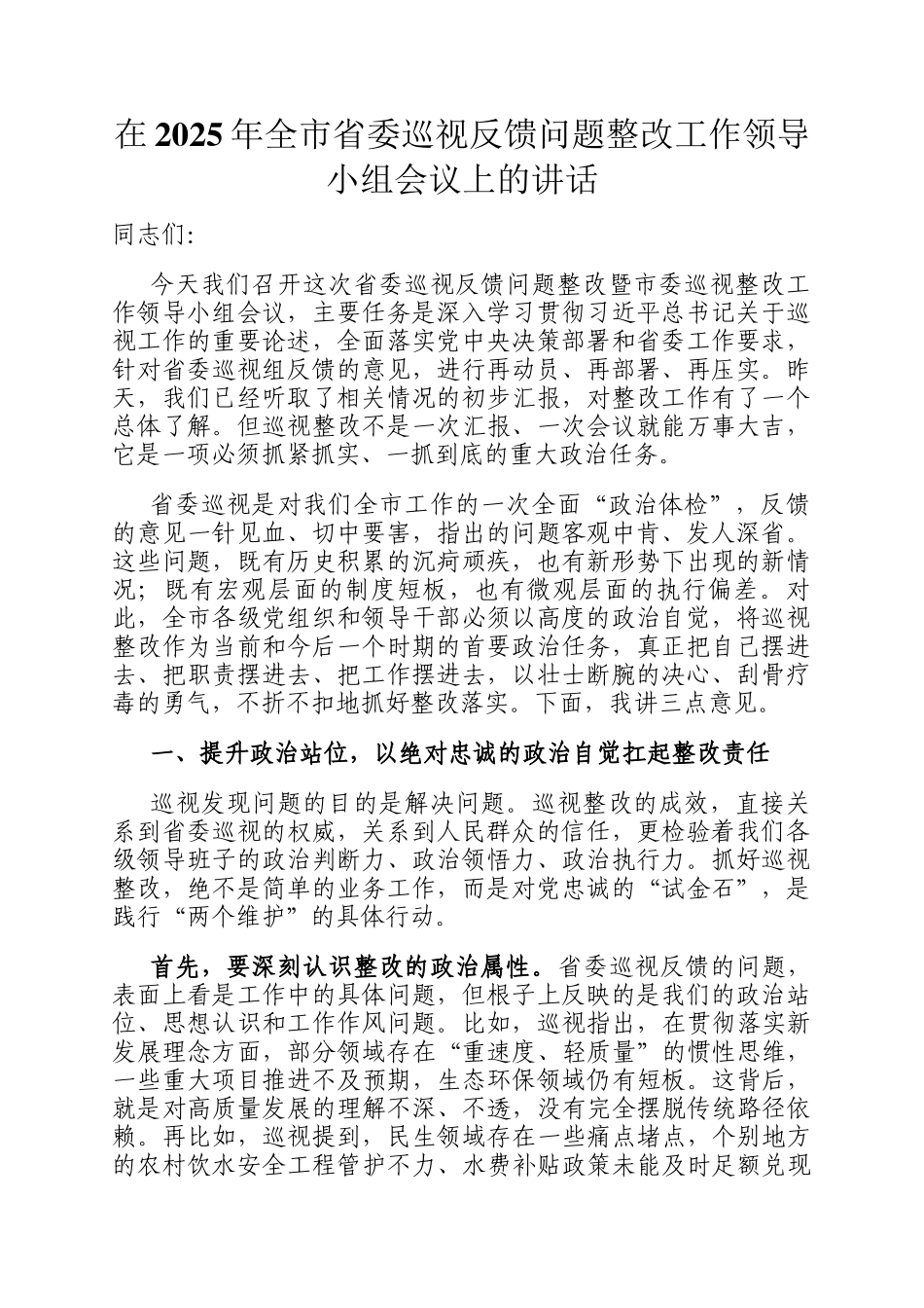 在2025年全市省委巡视反馈问题整改工作领导小组会议上的讲话_第1页