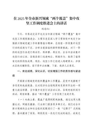 在2025年全市新兴领域“两个覆盖”集中攻坚工作调度推进会上的讲话