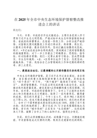 在2025年全市中央生态环境保护督察整改推进会上的讲话