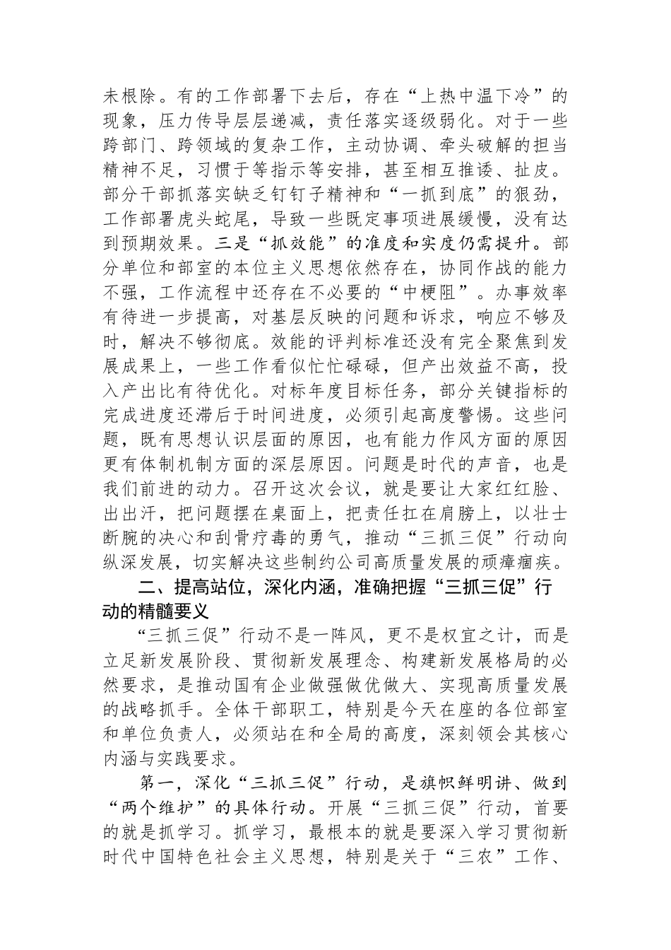 在2025年公司“三抓三促”行动专项工作机制办公室主任会议上的讲话_第3页