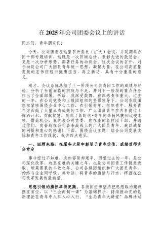 在2025年公司团委会议上的讲话