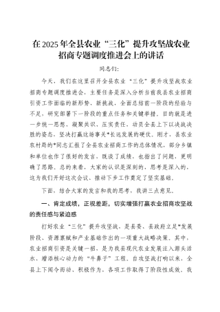 在2025年全县农业“三化”提升攻坚战农业招商专题调度推进会上的讲话