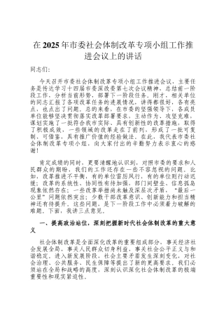 在2025年市委社会体制改革专项小组工作推进会议上的讲话