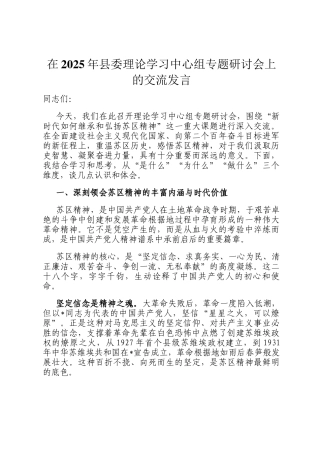在2025年县委理论学习中心组专题研讨会上的交流发言