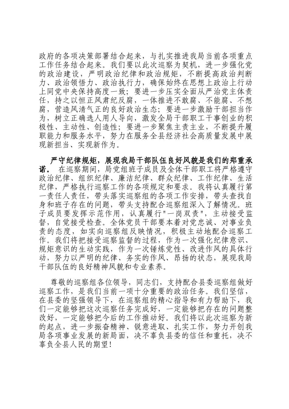 在2025年县委巡察组巡察局党组动员会上的表态发言_第3页