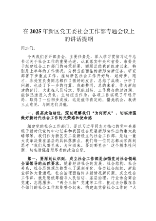 在2025年新区党工委社会工作部专题会议上的讲话提纲