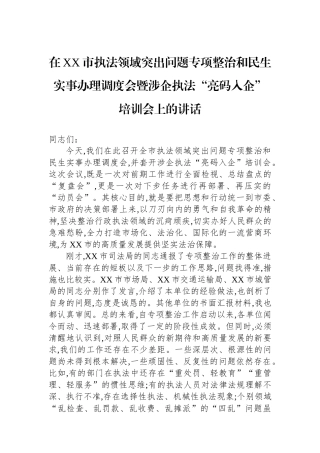 在XX市执法领域突出问题专项整治和民生实事办理调度会暨涉企执法“亮码入企”培训会上的讲话