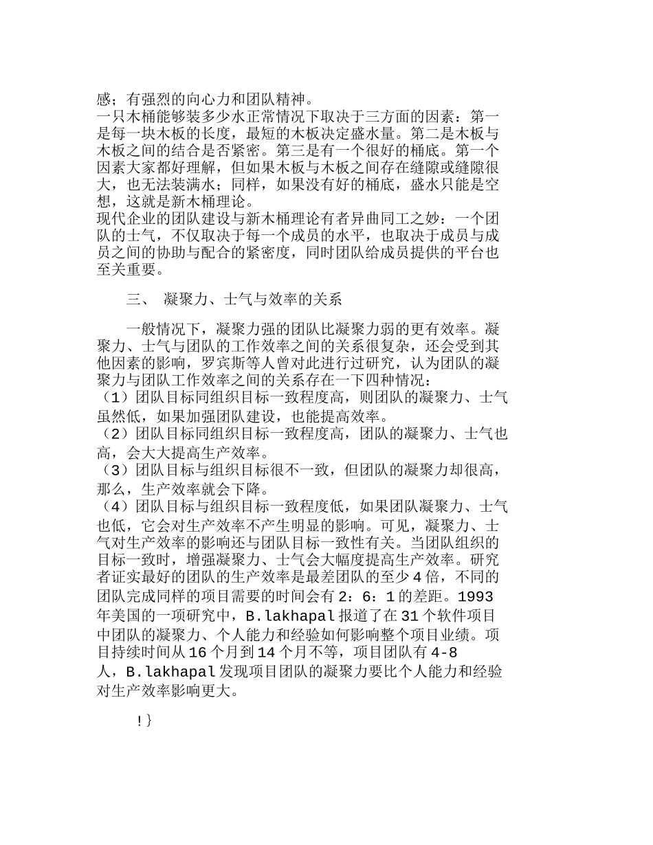团队的凝聚力、士气和工作效率分析研究  人力资源管理专业_第2页
