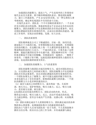团队的凝聚力、士气和工作效率分析研究  人力资源管理专业
