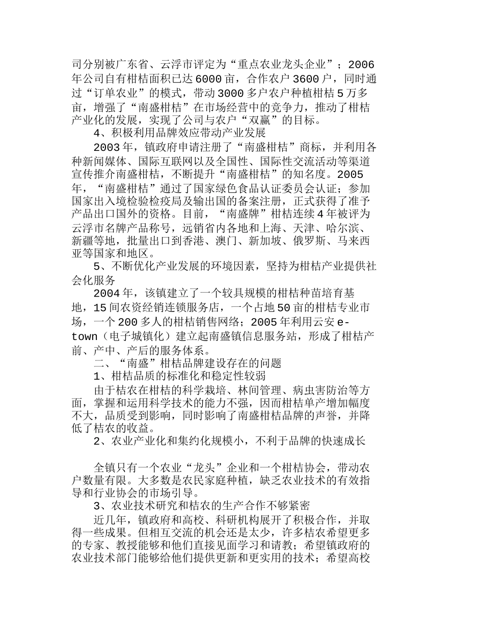 如何实施“南盛”柑桔品牌营销战略分析研究  市场营销管理专业_第2页