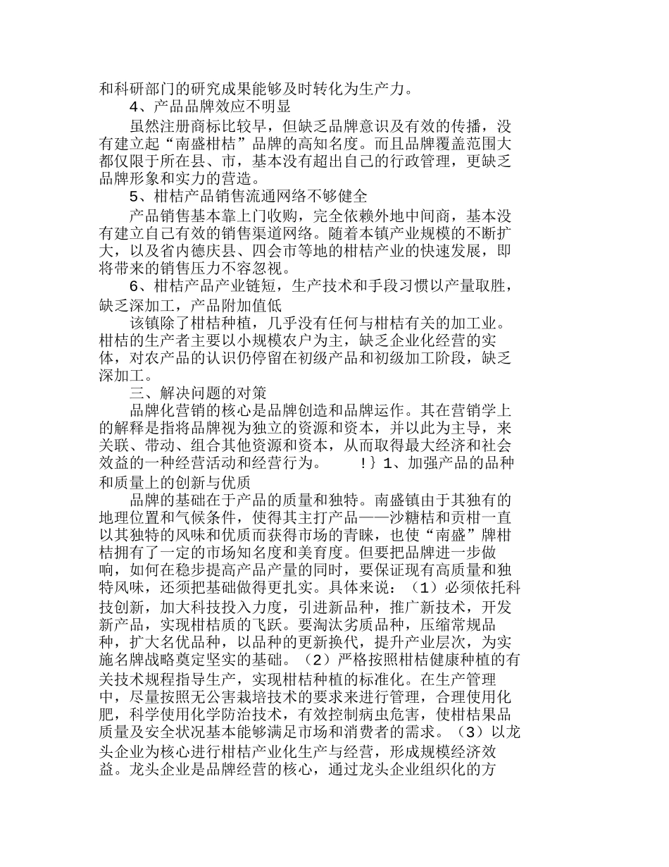 如何实施“南盛”柑桔品牌营销战略分析研究  市场营销管理专业_第3页