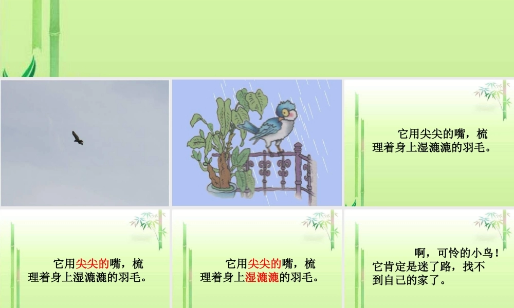 一年级语文下册 第2单元 6《阳台上的小鸟》课件2 语文S版-语文S版小学一年级下册语文课件