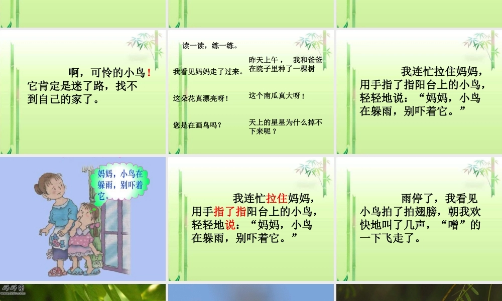 一年级语文下册 第2单元 6《阳台上的小鸟》课件2 语文S版-语文S版小学一年级下册语文课件