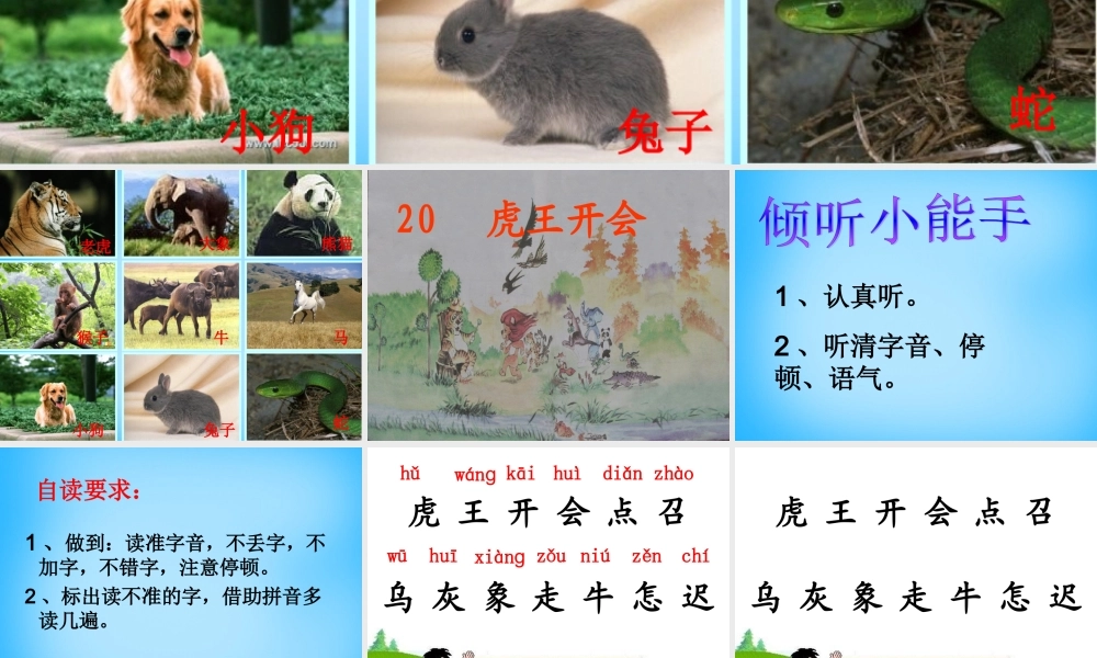 一年级语文上册《虎王开会》课件1 语文A版-语文A版小学一年级上册语文课件