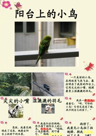 一年级语文下册 第2单元 6《阳台上的小鸟》课件3 语文S版-语文S版小学一年级下册语文课件
