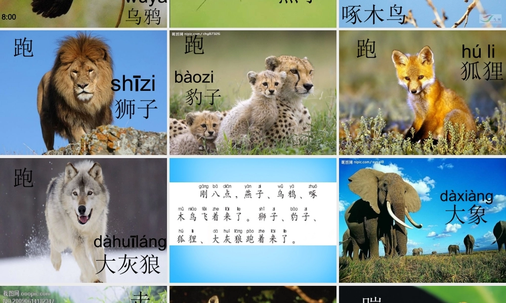 一年级语文上册《虎王开会》课件2 语文A版-语文A版小学一年级上册语文课件