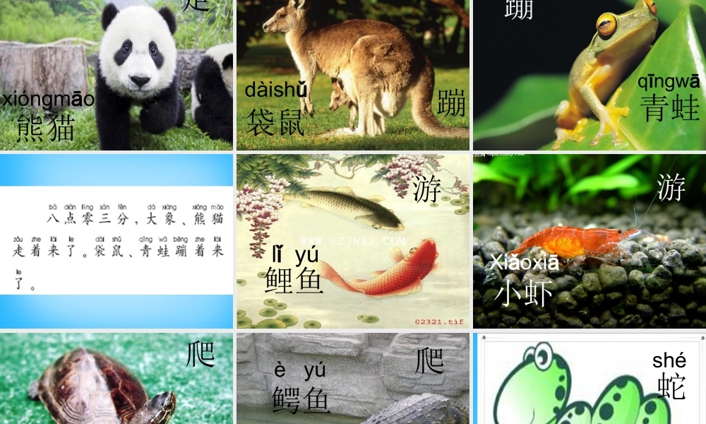 一年级语文上册《虎王开会》课件2 语文A版-语文A版小学一年级上册语文课件