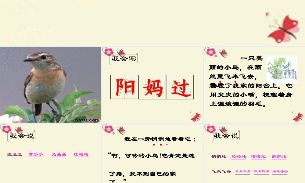 一年级语文下册 第2单元 6《阳台上的小鸟》课件4 语文S版-语文S版小学一年级下册语文课件