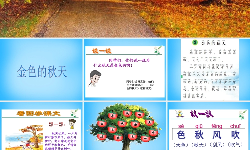 一年级语文上册《金色的秋天》课件2 语文A版-语文A版小学一年级上册语文课件