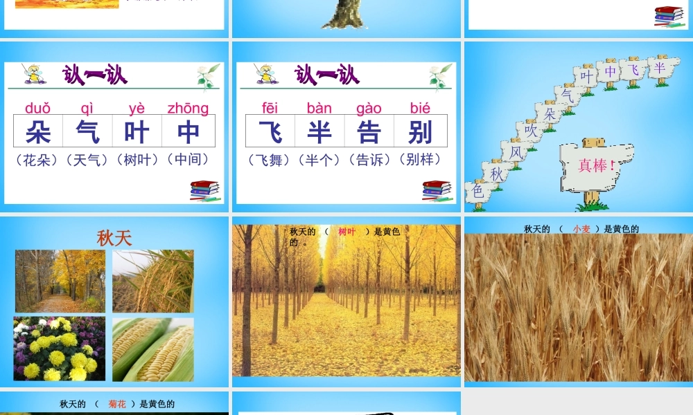 一年级语文上册《金色的秋天》课件2 语文A版-语文A版小学一年级上册语文课件