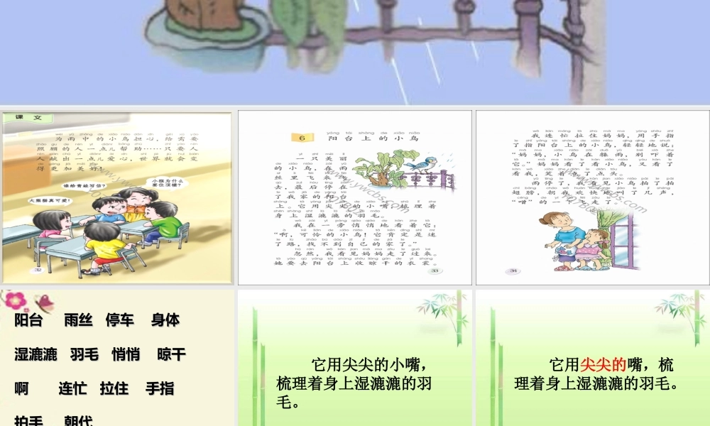 一年级语文下册 第2单元 6《阳台上的小鸟》课件7 语文S版-语文S版小学一年级下册语文课件