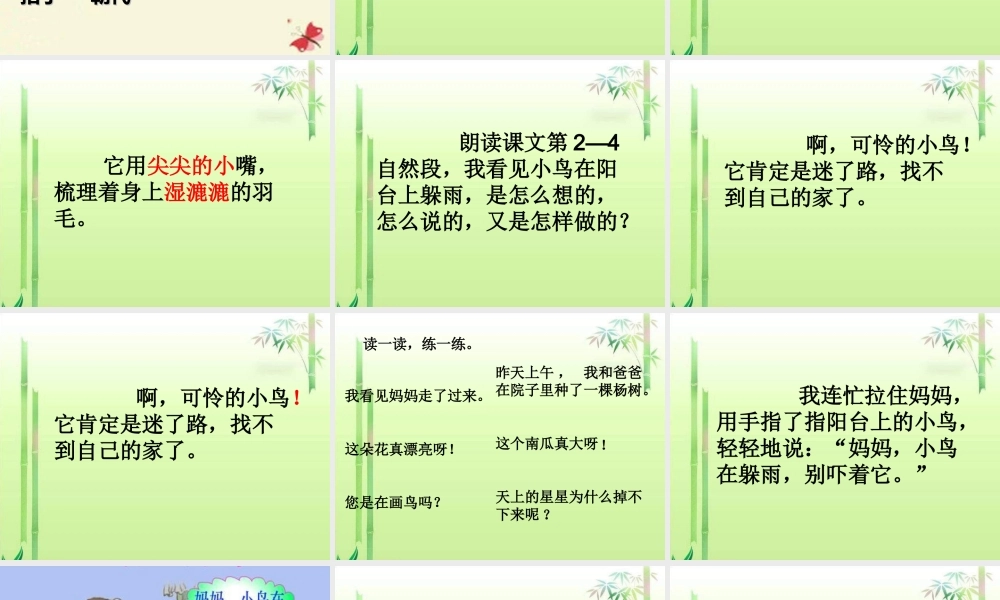 一年级语文下册 第2单元 6《阳台上的小鸟》课件7 语文S版-语文S版小学一年级下册语文课件