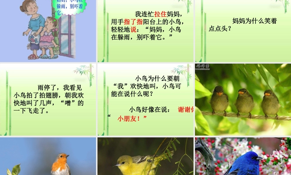 一年级语文下册 第2单元 6《阳台上的小鸟》课件7 语文S版-语文S版小学一年级下册语文课件