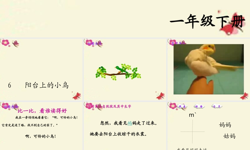 一年级语文下册 第2单元 6《阳台上的小鸟》课件8 语文S版-语文S版小学一年级下册语文课件