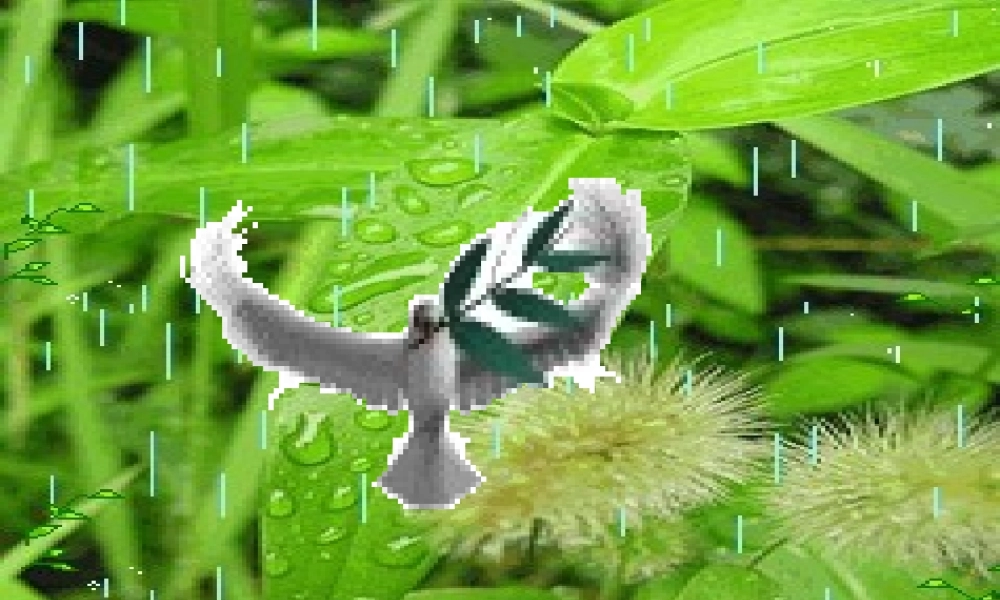 一年级语文下册 第2单元 6《阳台上的小鸟》课件9 语文S版-语文S版小学一年级下册语文课件