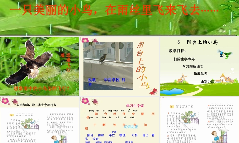 一年级语文下册 第2单元 6《阳台上的小鸟》课件9 语文S版-语文S版小学一年级下册语文课件