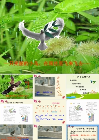 一年级语文下册 第2单元 6《阳台上的小鸟》课件9 语文S版-语文S版小学一年级下册语文课件