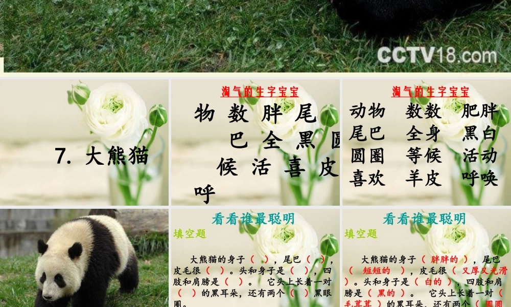 一年级语文下册 第2单元 7《大熊猫》课件1 语文S版-语文S版小学一年级下册语文课件