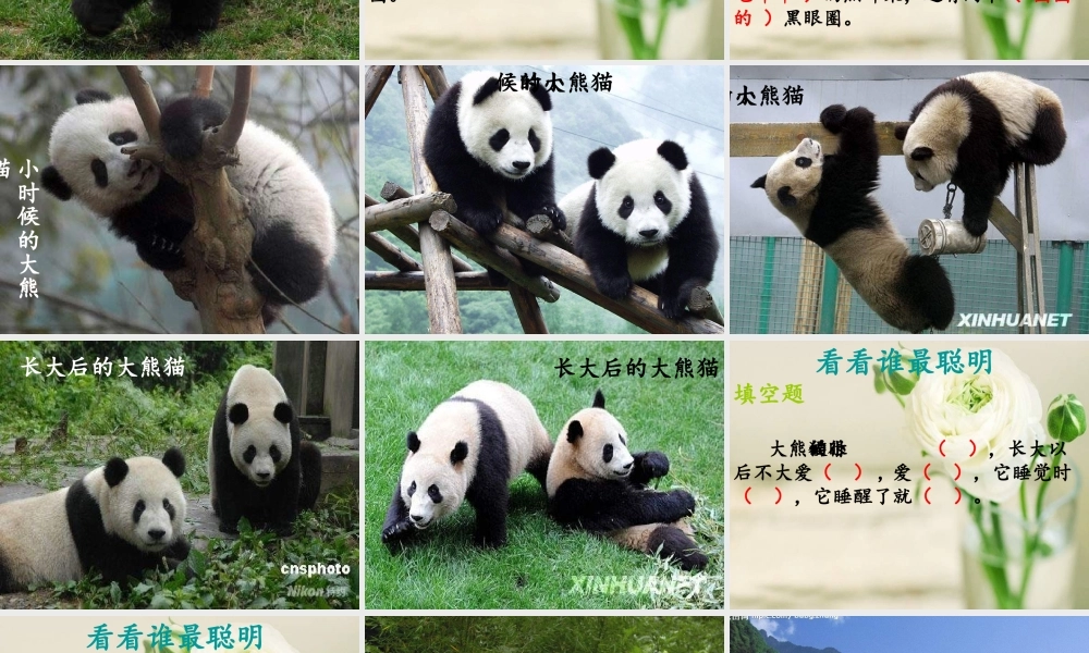 一年级语文下册 第2单元 7《大熊猫》课件1 语文S版-语文S版小学一年级下册语文课件